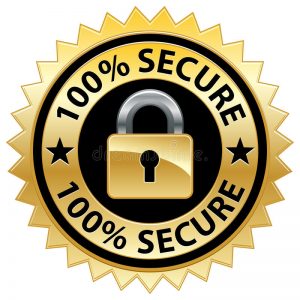 100% Secure Website Seal